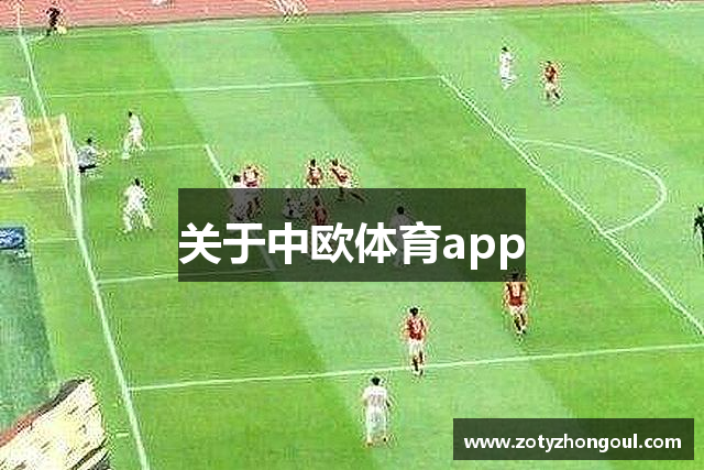 中欧体育（中国）官方网站-zoty sports